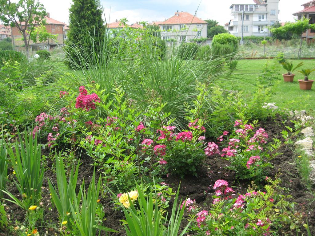 Chateau Aheloy Hotel Pomorie Buitenkant foto